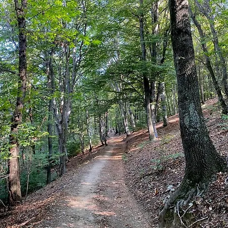 בית נופש La Dolce מאסינו ויסקונטי