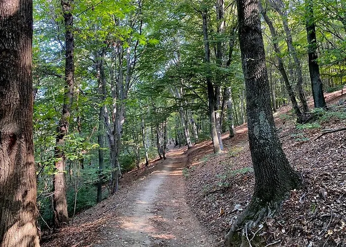 Prázdninový dům La Dolce Massino Visconti